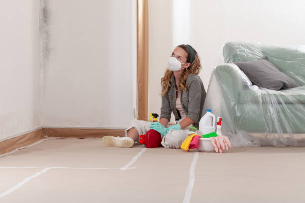 Reliable Mold Remediation contractor in Clearville, PA by WQB Mold Removal